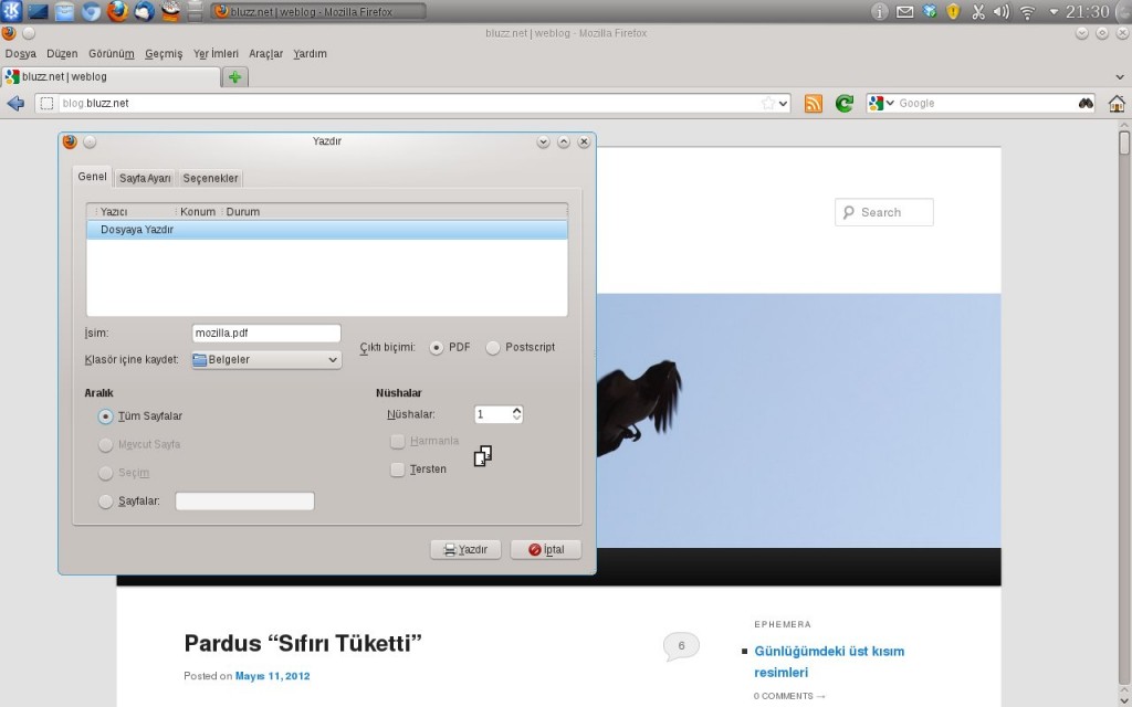 Firefox- GNU/Linux Sürümü- Dosyaya Yazdır, PDF ve PostScript biçiminde çıktı alabilirsiniz