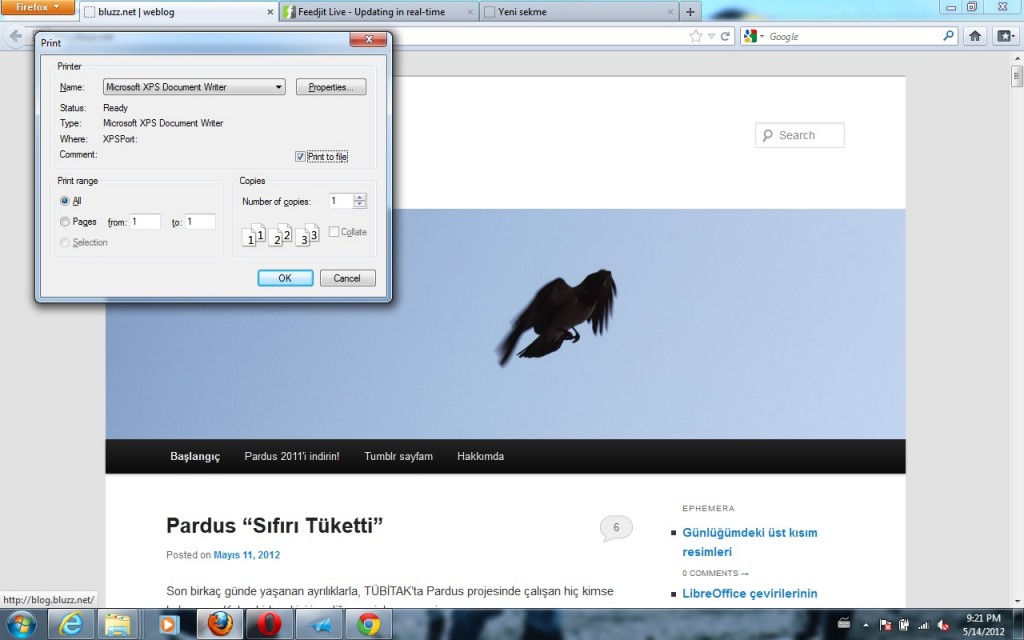 Firefox- Windows Sürümü- Dosyaya Yazdır, XPS biçiminde çıktı alabilirsiniz