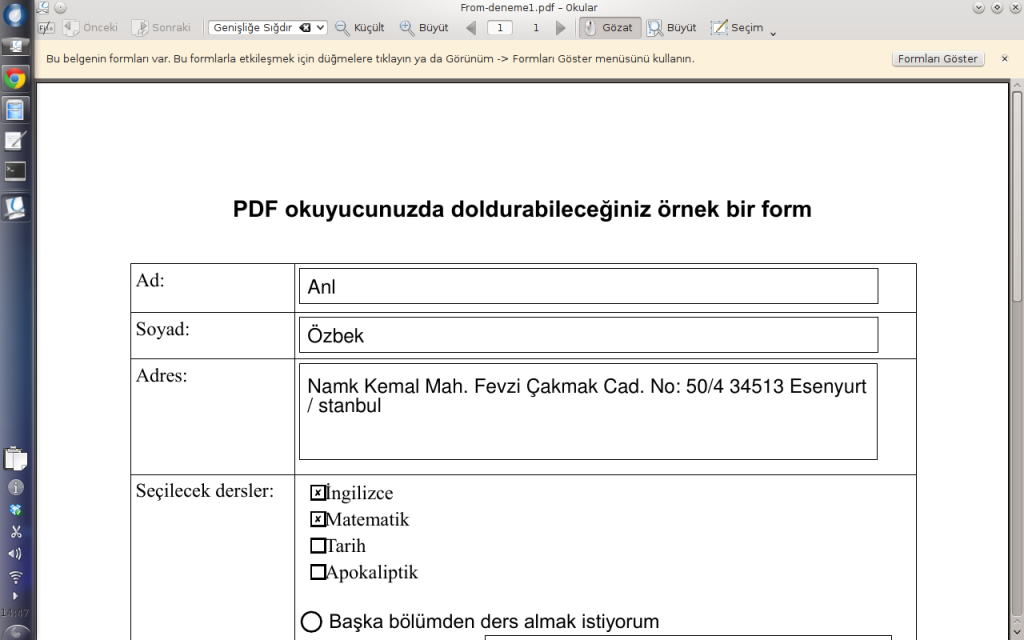 Okularda doldurulmuş PDF formu